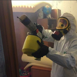 Уничтожение клопов в квартире. Славск